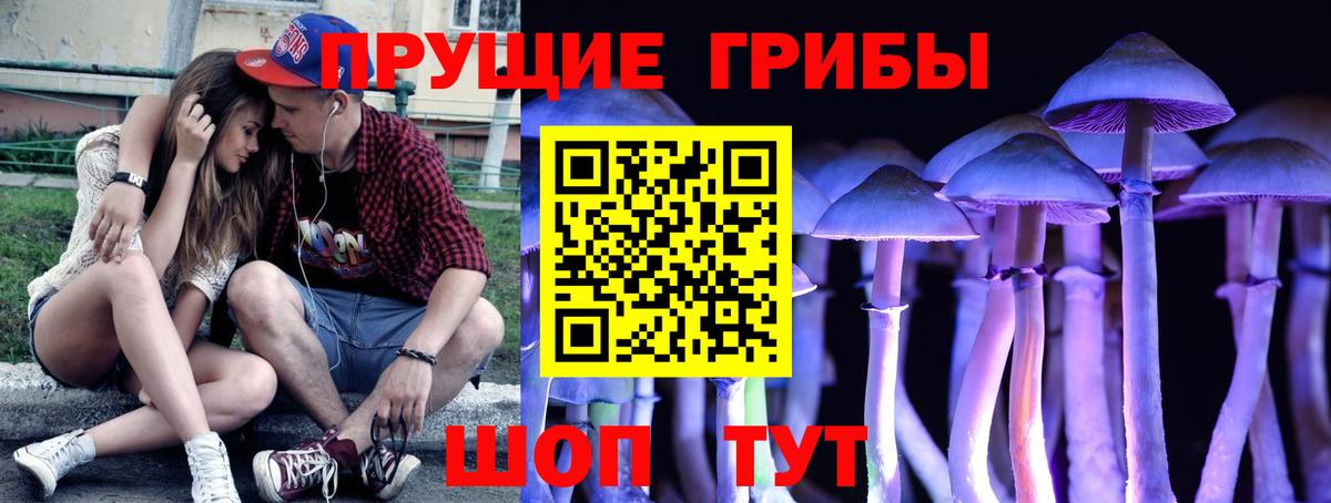 Галлюциногенные грибы Psilocybe  Псилоцибиновые грибы ЛСД  Вход с VPN  Видное 
