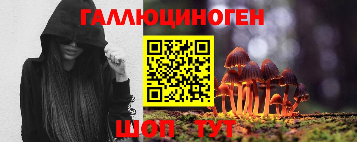 Псилоцибиновые грибы мицелий Видное